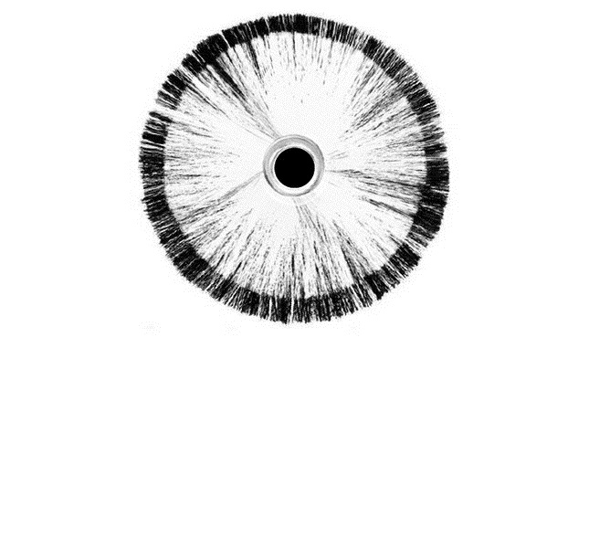 Banner - Christian Lermer