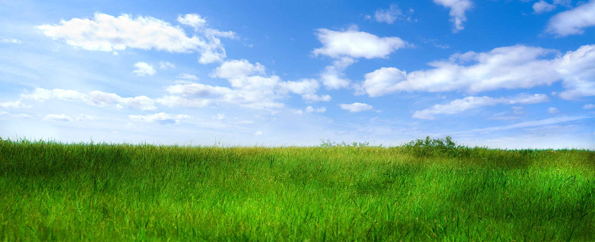 Banner - Christian Lermer